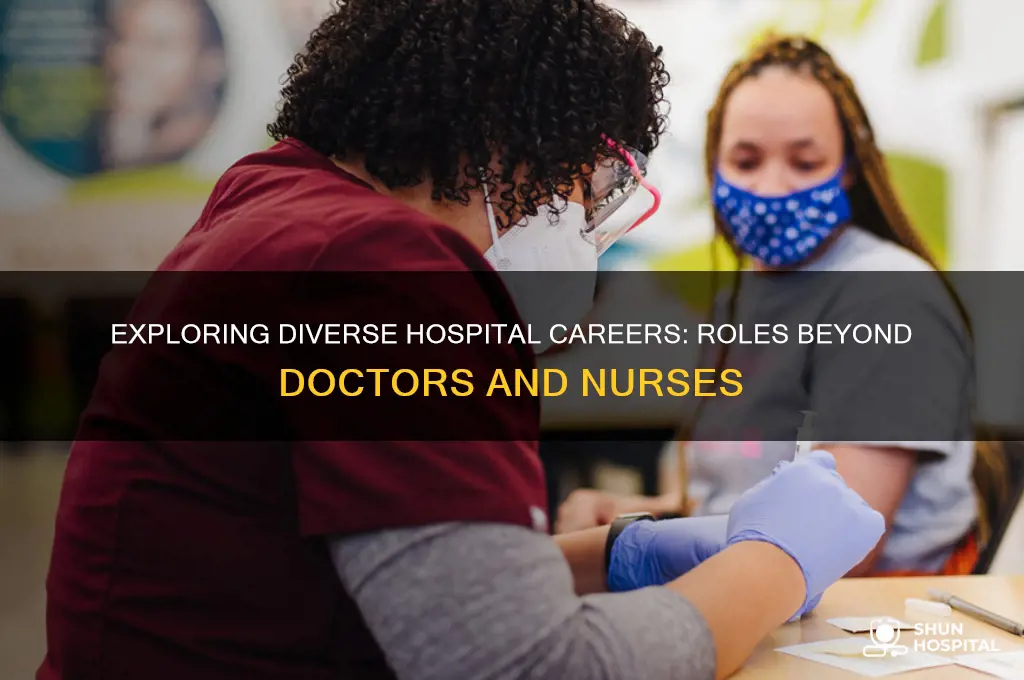 what are some jobs for a person in a hospital