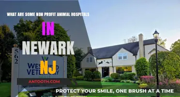 Compassionate Care: Non-Profit Animal Hospitals in Newark, NJ