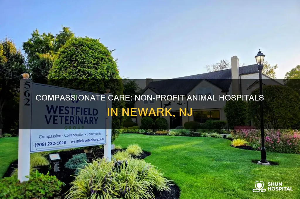 what are some non profit animal hospitals in newark nj
