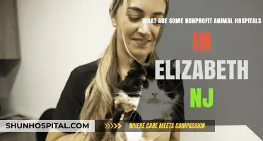 Caring for Pets: Nonprofit Animal Hospitals in Elizabeth, NJ