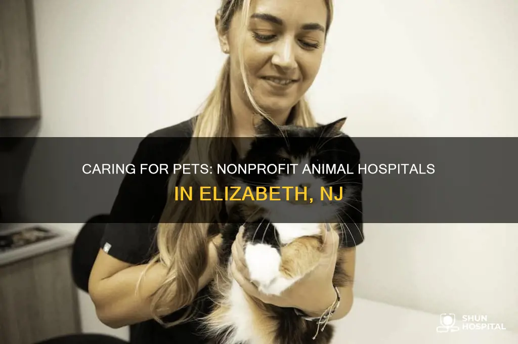 what are some nonprofit animal hospitals in elizabeth nj