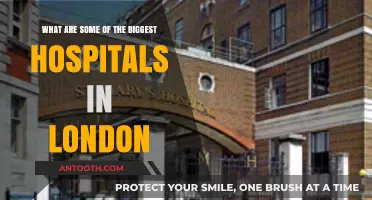 Exploring London's Largest Hospitals: A Guide to Top Medical Facilities