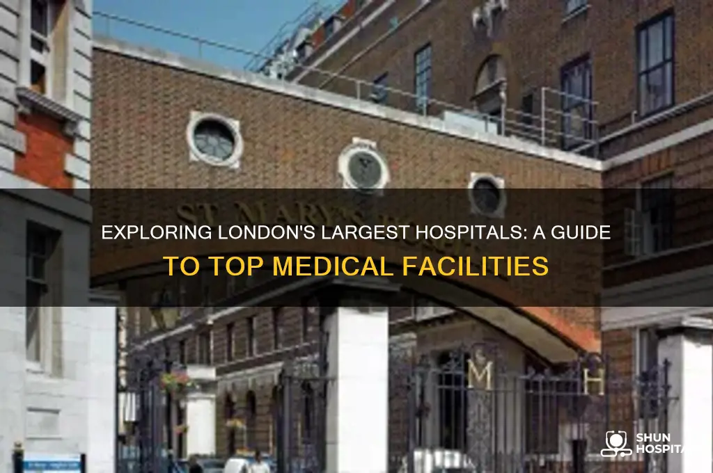 what are some of the biggest hospitals in london