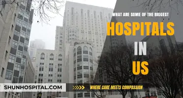 Exploring America's Largest Hospitals: Size, Capacity, and Impact