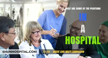 Exploring Diverse Roles: Key Positions in a Hospital Setting