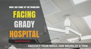 Challenges at Grady Hospital: Funding, Staffing, and Patient Care Concerns
