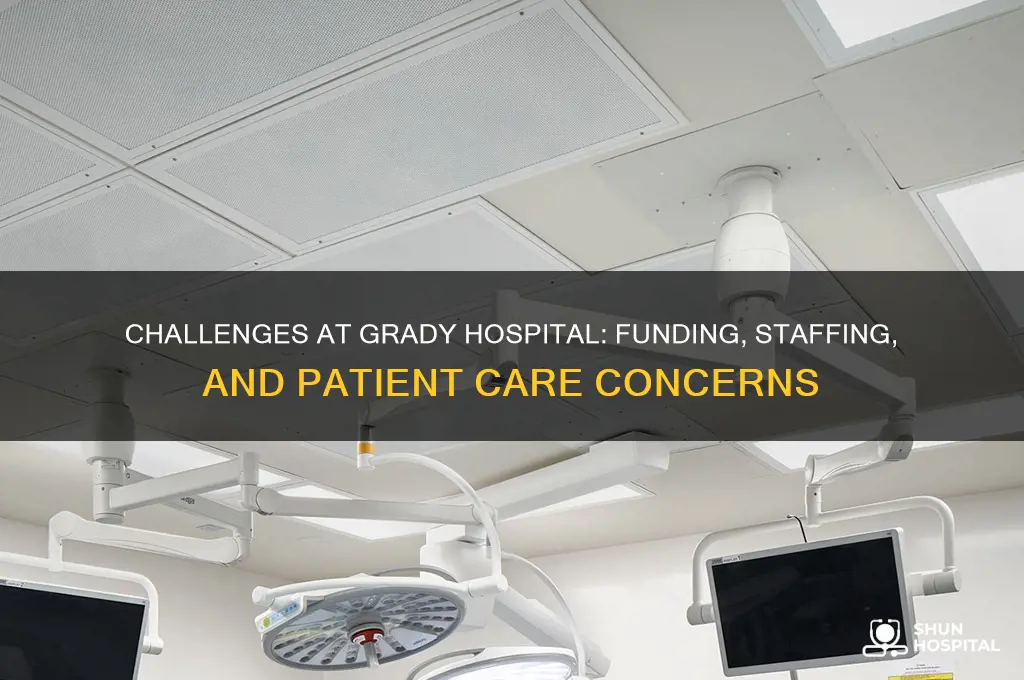 what are some of the problems facing grady hospital