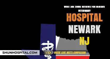 Newark Veterinary Hospital Reviews: What Pet Owners Are Saying