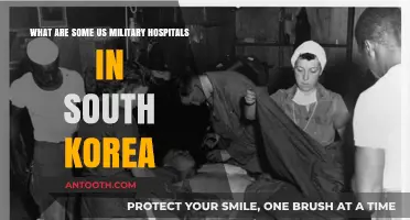 Exploring U.S. Military Hospitals in South Korea: Locations and Services