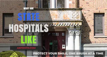 Exploring State Hospitals: Conditions, Care, and Patient Experiences Revealed