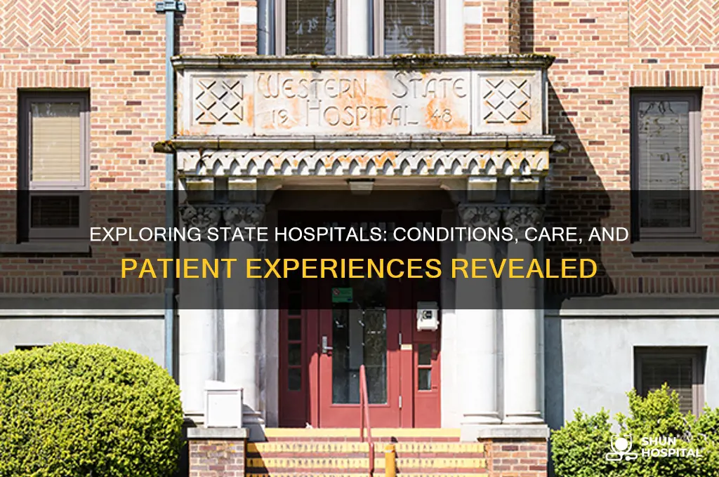 what are state hospitals like