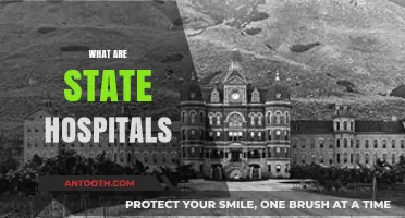 Understanding State Hospitals: Roles, Services, and Public Healthcare Impact