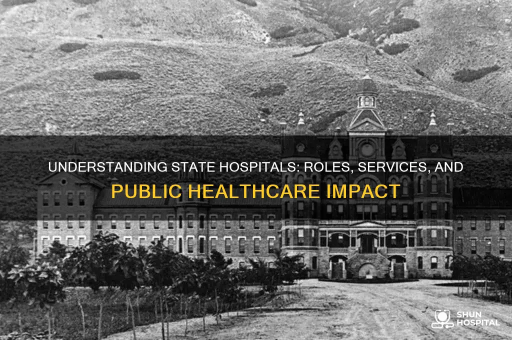 what are state hospitals