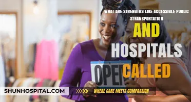 Essential Community Assets: Accessible Public Transport & Healthcare Facilities
