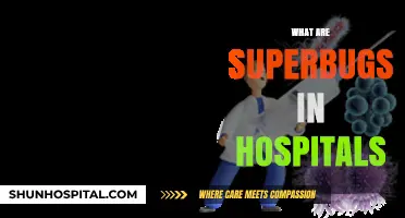 Understanding Superbugs: Hospital-Acquired Infections and Their Growing Threat