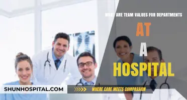 Fostering Unity: Understanding Team Values Across Hospital Departments