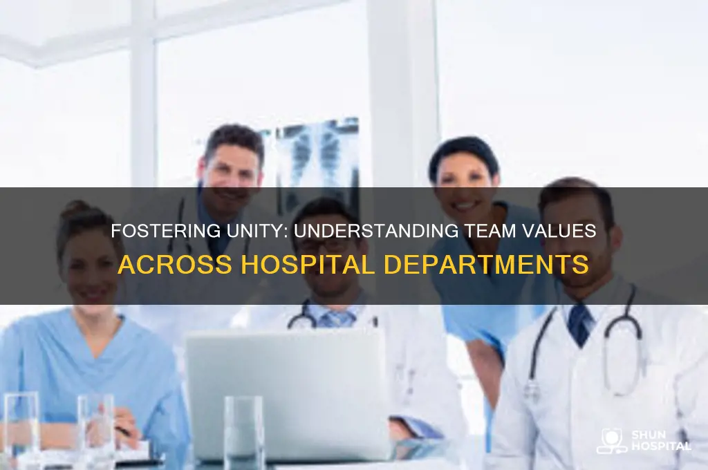 what are team values for departments at a hospital