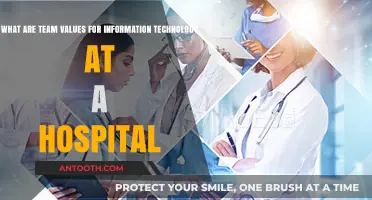 Fostering Collaboration: Core IT Team Values in Hospital Healthcare Settings