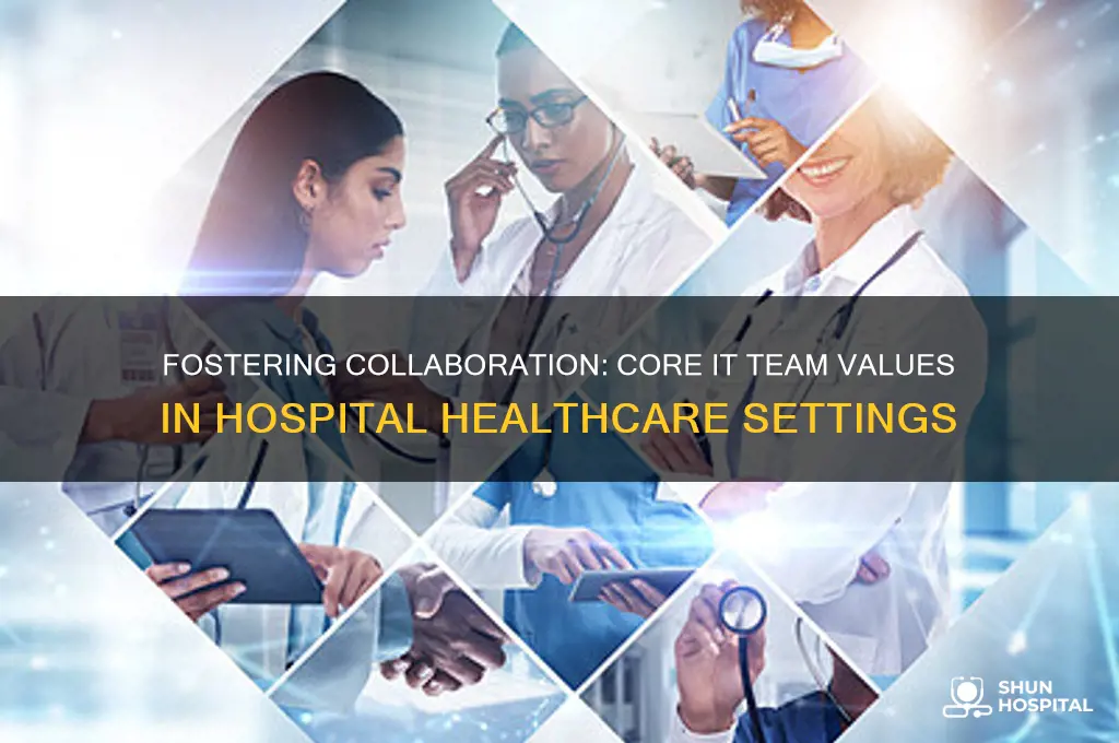 what are team values for information technology at a hospital