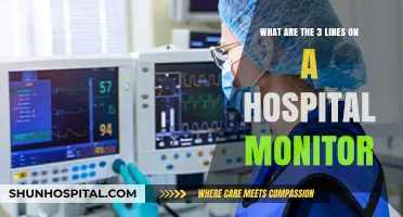 Decoding Hospital Monitor Lines: Understanding the Vital Three Indicators