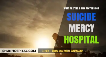 Understanding Suicide Risk Factors at Mercy Hospital: Key Insights