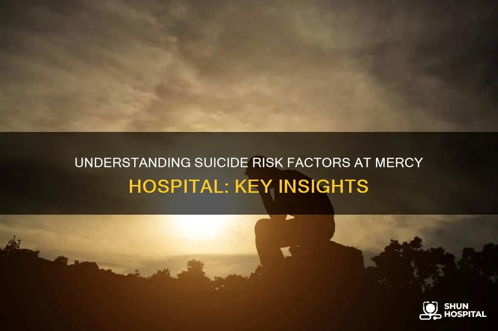 what are the 3 risk factors for suicide mercy hospital