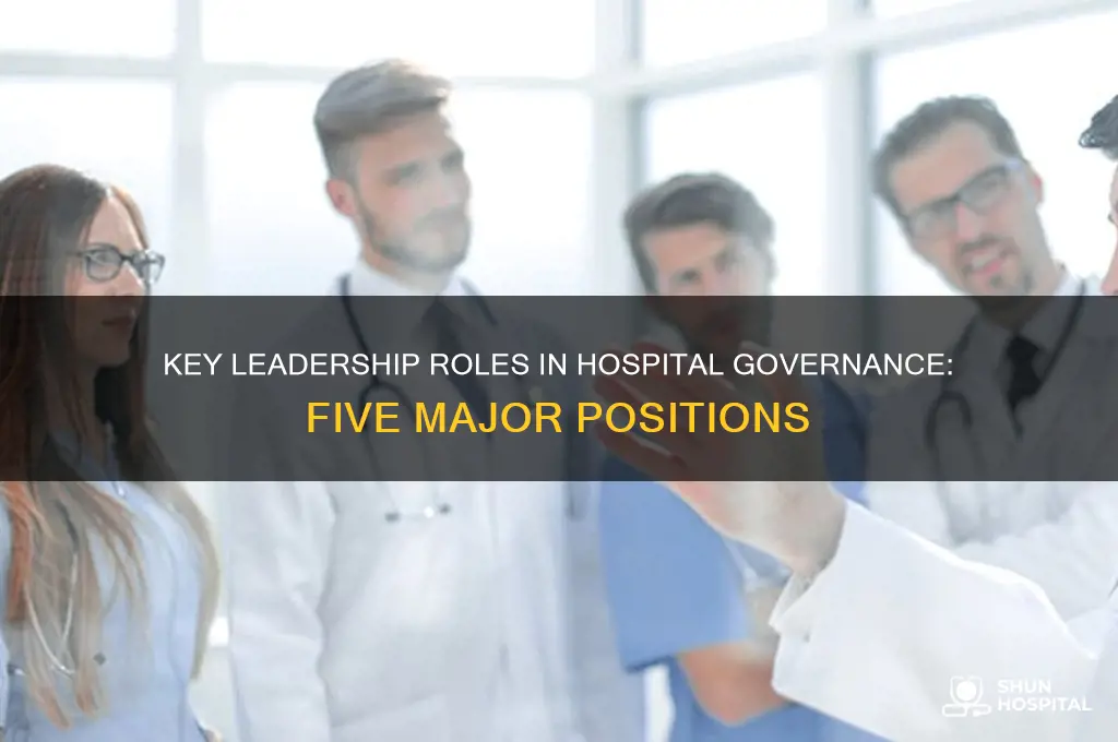 what are the 5 major positions held in hospital governance