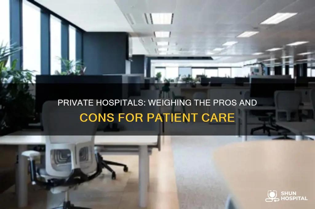 what are the advantages and disadvantages of private hospital