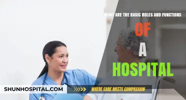 Understanding Hospital Roles: Core Functions and Essential Services Explained
