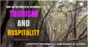 Sustainable Tourism and Hospitality: Benefits for Communities and the Planet