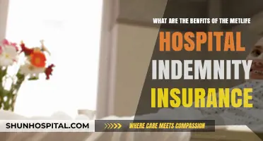 Metlife Hospital Indemnity Insurance: Key Benefits for Financial Peace