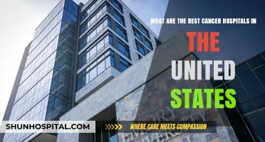Top Cancer Hospitals in the US: Leading Care and Innovation