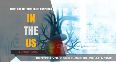 Top US Heart Hospitals: Leading Cardiac Care Centers Nationwide
