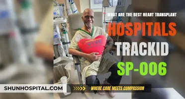 Top Heart Transplant Hospitals: Expert Care and Success Rates