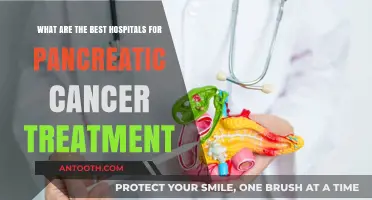 Top Hospitals for Pancreatic Cancer Treatment: Expert Care and Outcomes