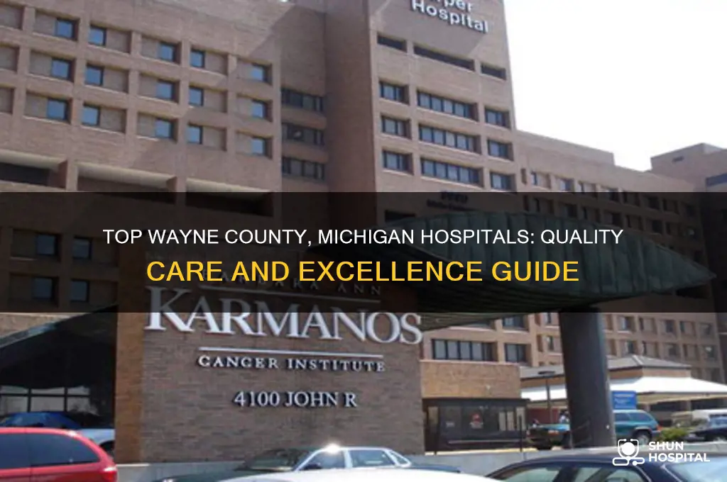 what are the best hospitals in wayne county michigan