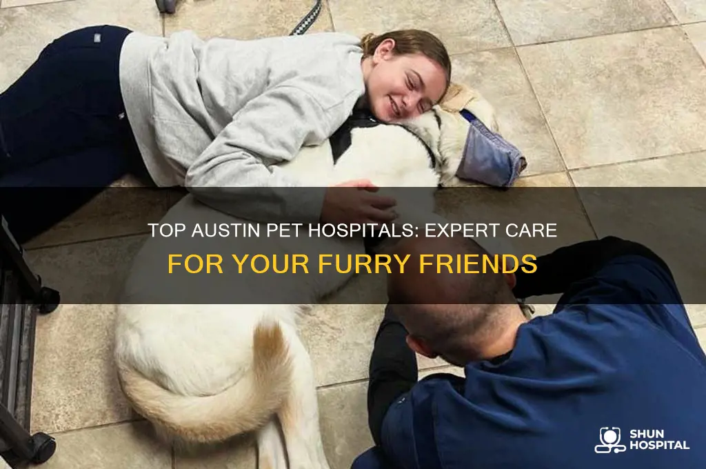 what are the best pet hospital in austin tx