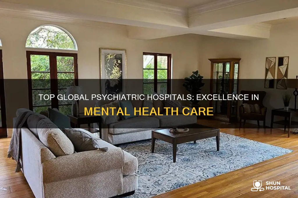 what are the best psychiatric hospitals in the world