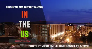 Top US University Hospitals: Excellence in Patient Care and Research