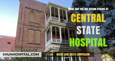 Unveiling Central State Hospital's Iconic Steam Stacks: History and Purpose