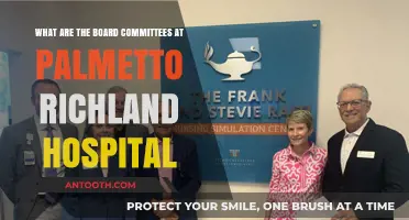 Understanding Palmetto Richland Hospital's Board Committees: Roles and Responsibilities