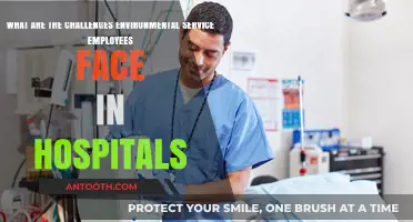 Overcoming Hospital Environmental Service Workers' Daily Challenges and Struggles