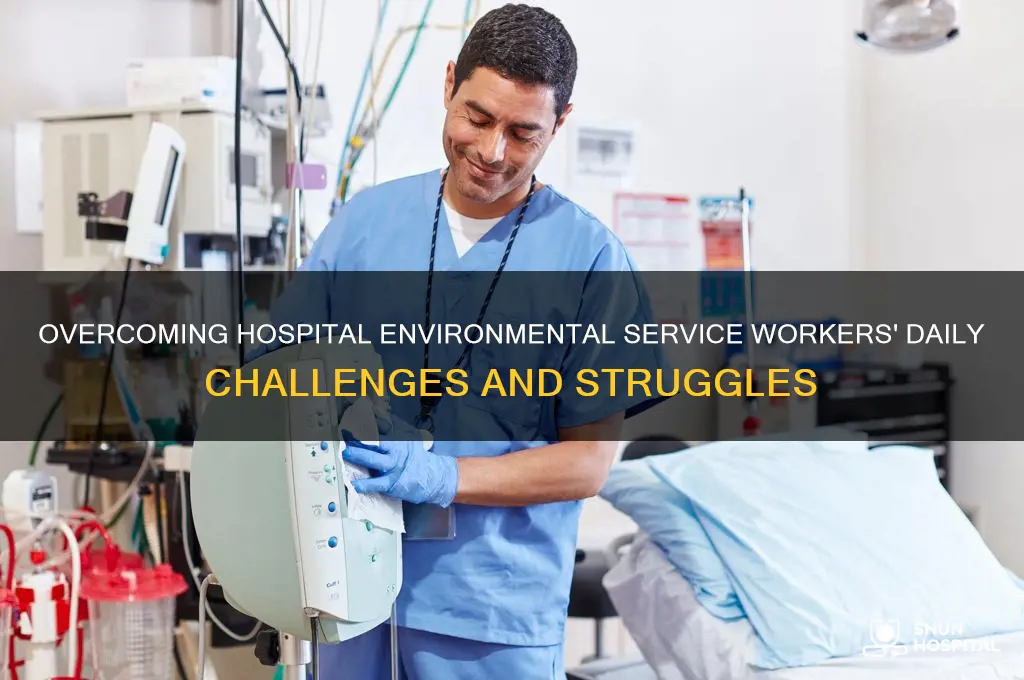 what are the challenges environmental service employees face in hospitals