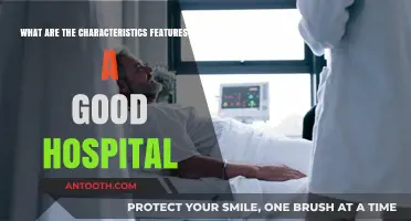Essential Features Defining a High-Quality Hospital for Patient Care