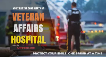 Understanding Code Alerts at Veteran Affairs Hospitals: A Comprehensive Guide