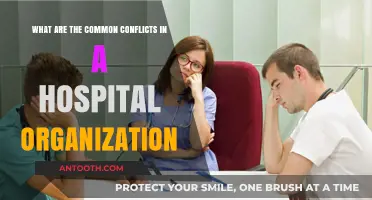 Navigating Common Conflicts in Hospital Organizations: Challenges and Solutions