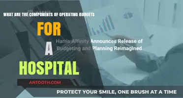 Understanding Hospital Operating Budgets: Key Components and Financial Strategies