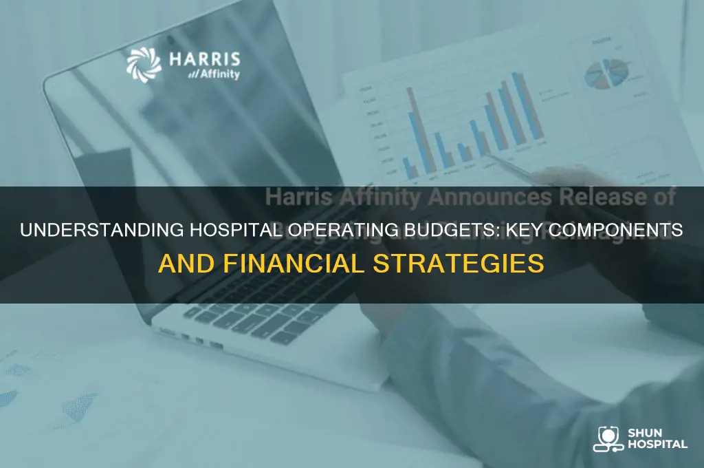 what are the components of operating budgets for a hospital