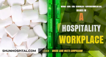 Addressing Environmental Challenges in Today's Hospitality Workplaces: Key Issues