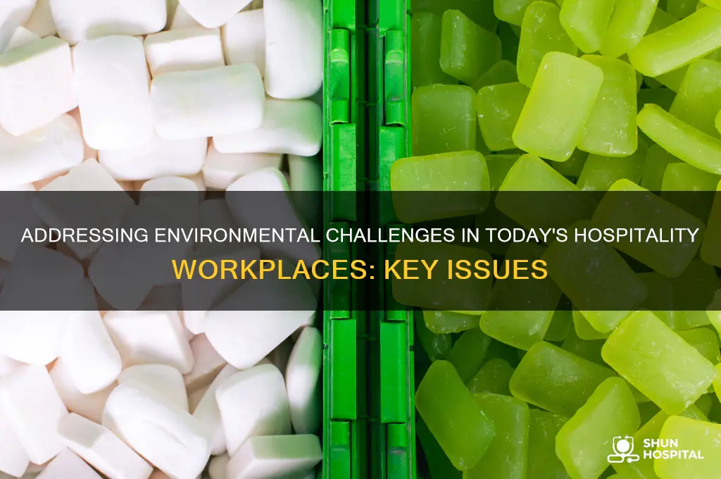 what are the current environmental issues in a hospitality workplace
